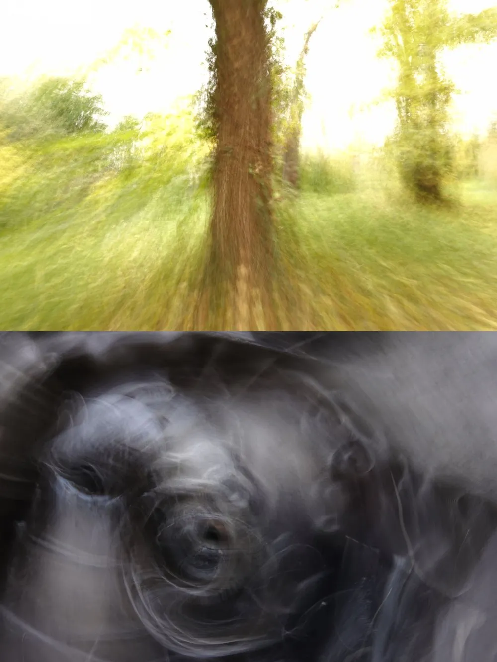 JPEG - 1.4 Mio
