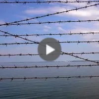 Heart of/for freedom
