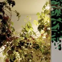 Présence et comparaison