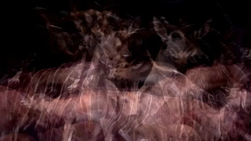 Feu de paille