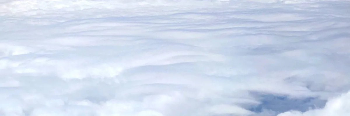 Comment nous travaillons