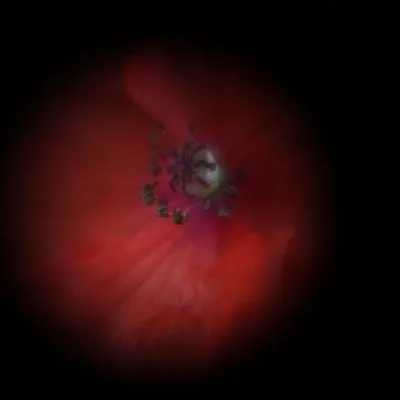 Bouton rouge