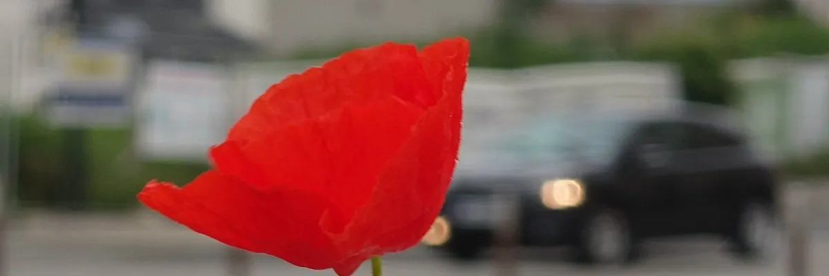 À fleur