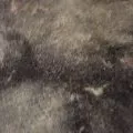 Résilience