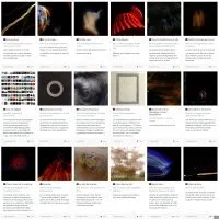 Des mots semés sur les images
