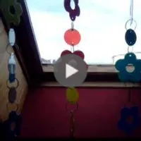 La fenêtre de chez moi