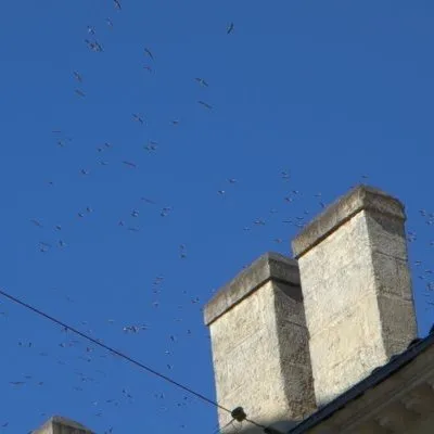 Pour une transformation culturelle permanente