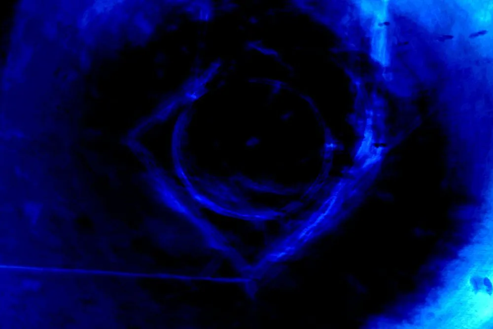 Bouche bleue - 13 © Benoît Labourdette 2022.