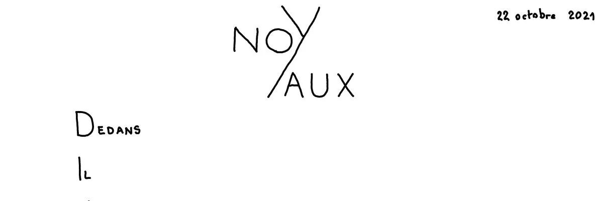 Noyaux