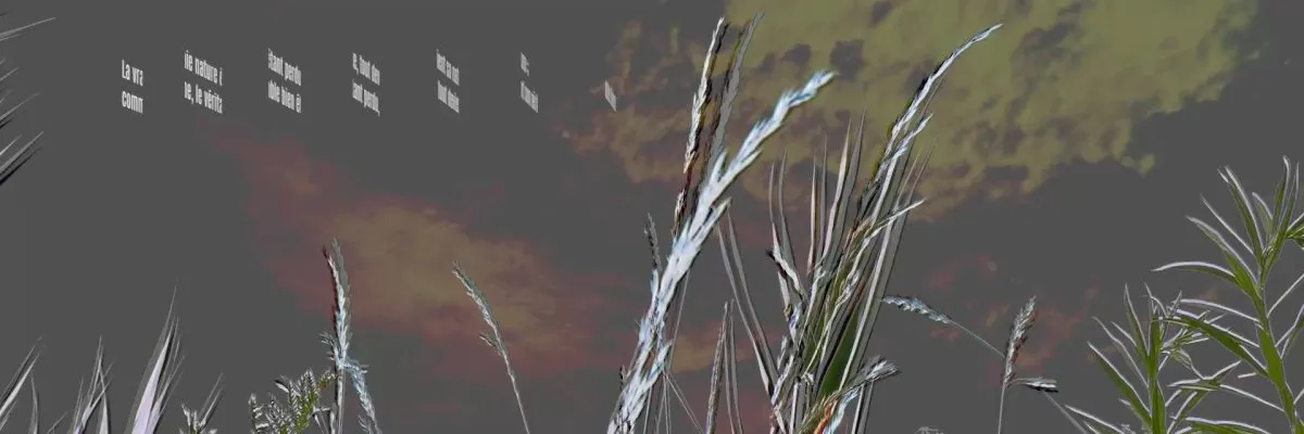 La vraie nature (pensée 426)