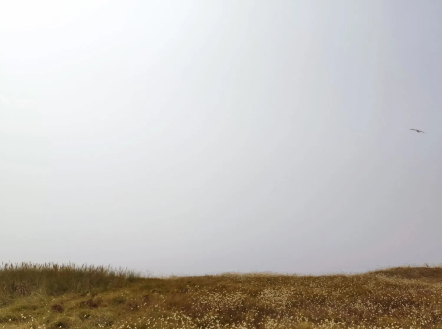 Bretagne © Benoît Labourdette.