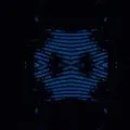Insecte