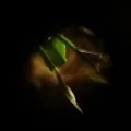 Naissance