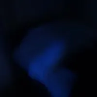 Perdu dans le matin