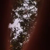 Qu'est-ce qu'un scénario ?