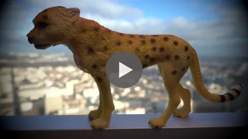 Animals at the window, the hill of light