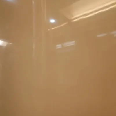 Reflet ou présence