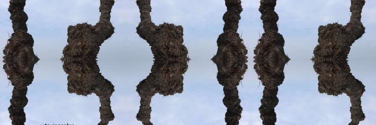 Un arbre adulte