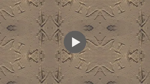 Written in the sand