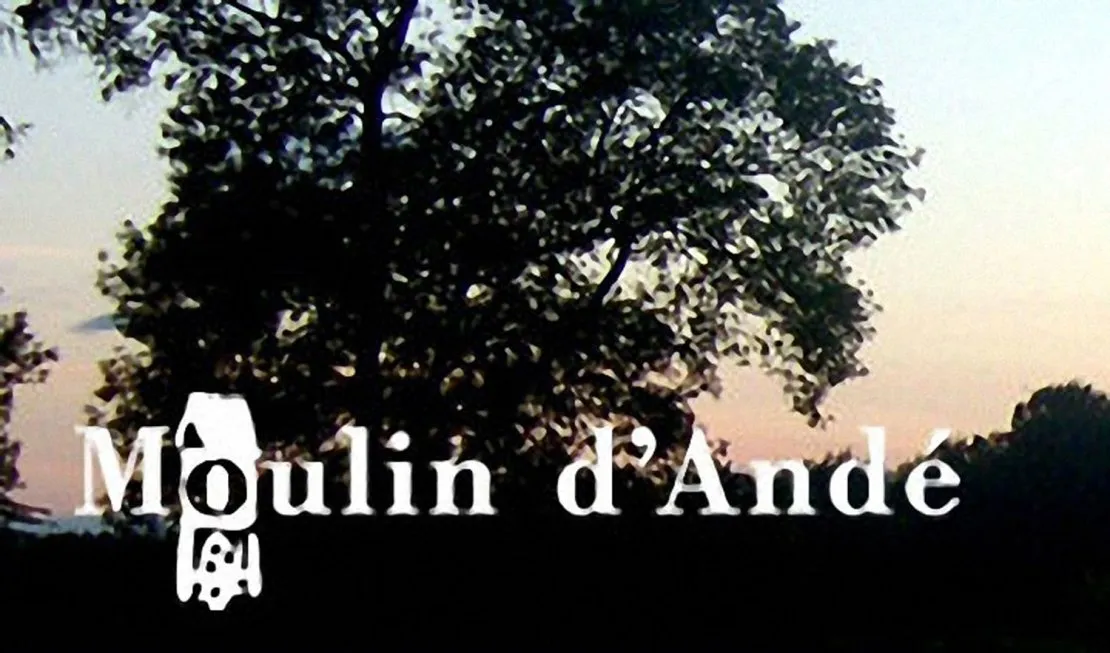 Moulin d'Andé-Céci : journée « Nouveaux diffuseurs, nouvelles créations, nouvelle économie ? ». © Benoît Labourdette.