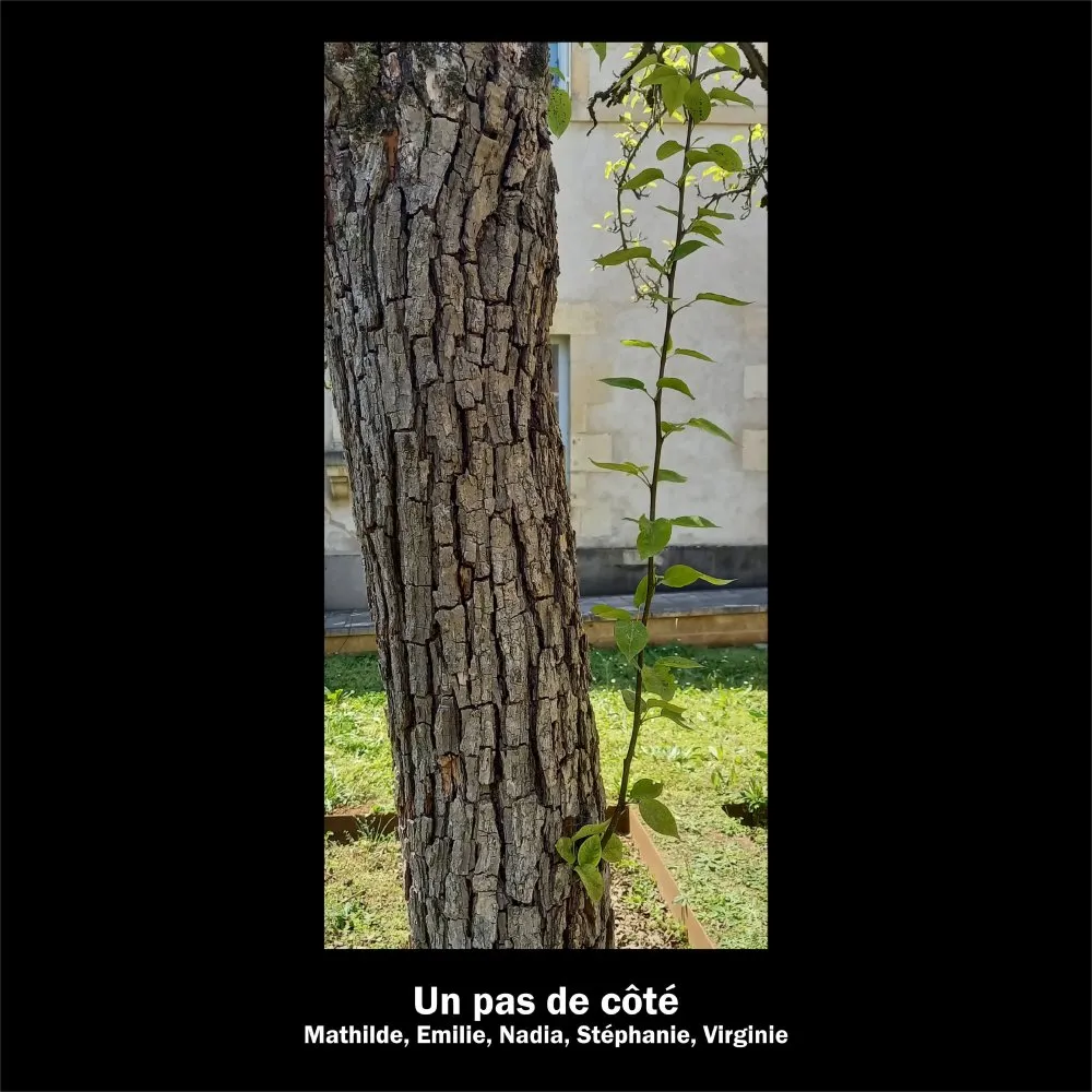 « Pratiques numériques créatives et formation de l'esprit critique » : conférence de Benoît Labourdette - 28 © Benoît Labourdette 2022.