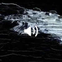 Les vagues sont l'eau