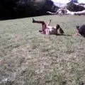 Chute