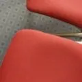 Raspberry