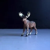 Présence contre la foule calme