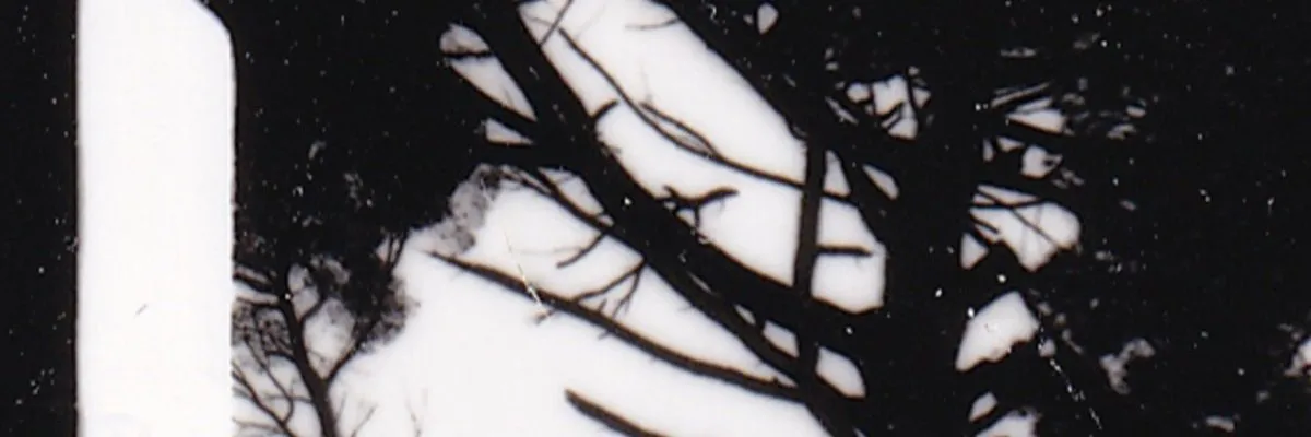 Vertical films
