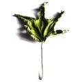 Feuille