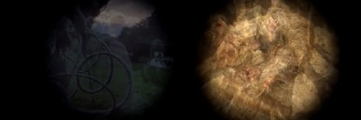 In Excelsis - installation vidéo