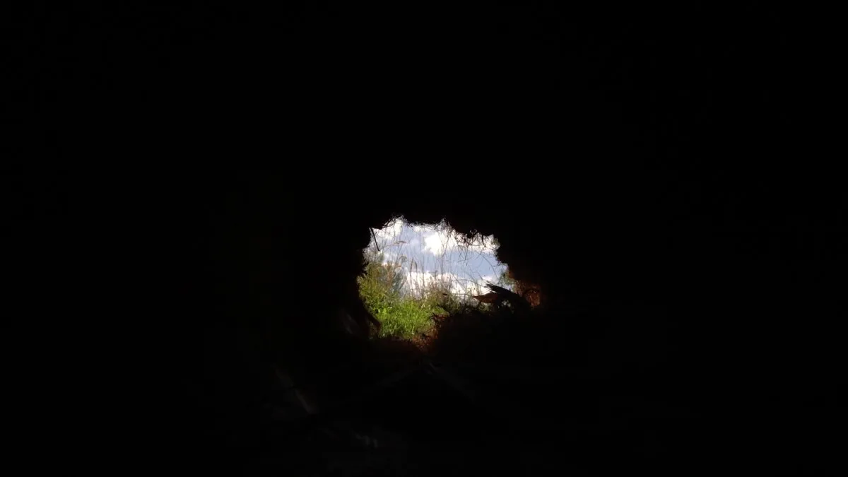 Chercher l'horizon