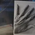 Autocollant