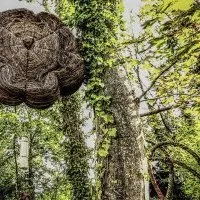 Défendre la culture autrement : méthodes pour demain