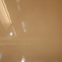 Reflet ou présence