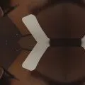 Justice