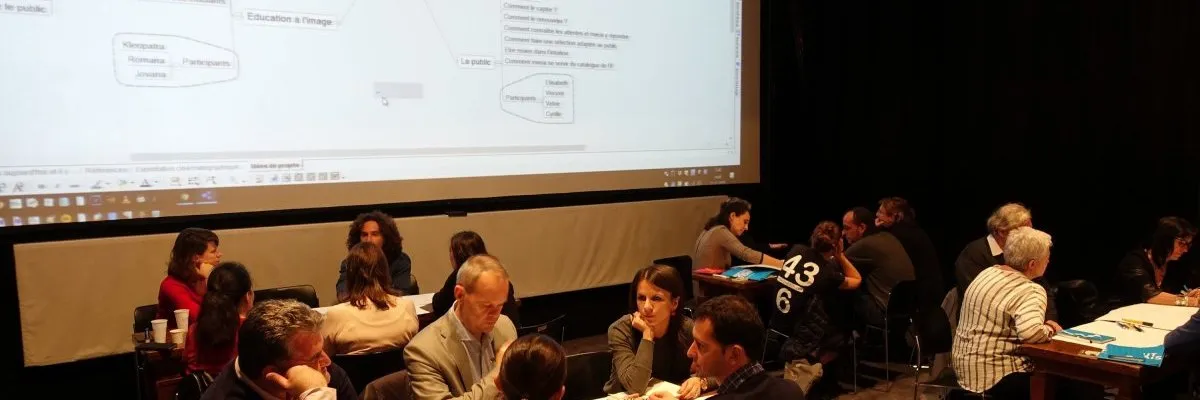 Institut Français : Innover dans les politiques culturelles du cinéma et la relation au public, à l'aune des pratiques numériques