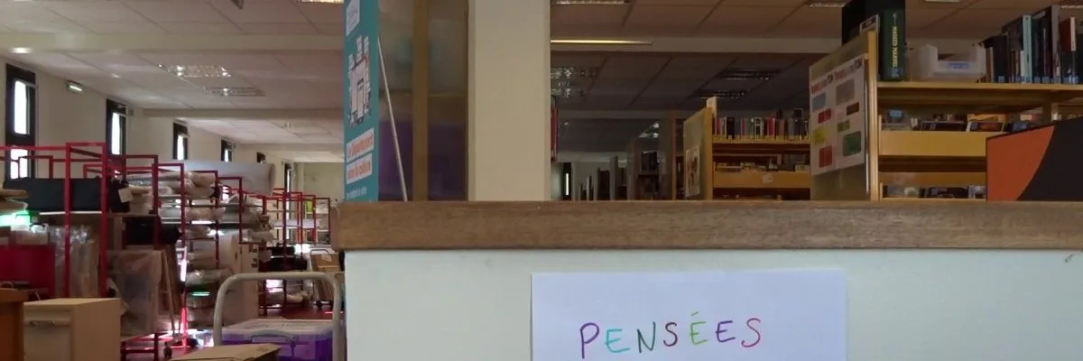 Pensées inanimées
