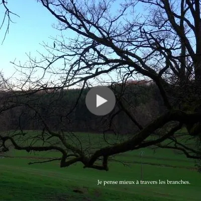 Simplement un arbre