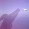 Avion