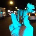 Jonas Mekas