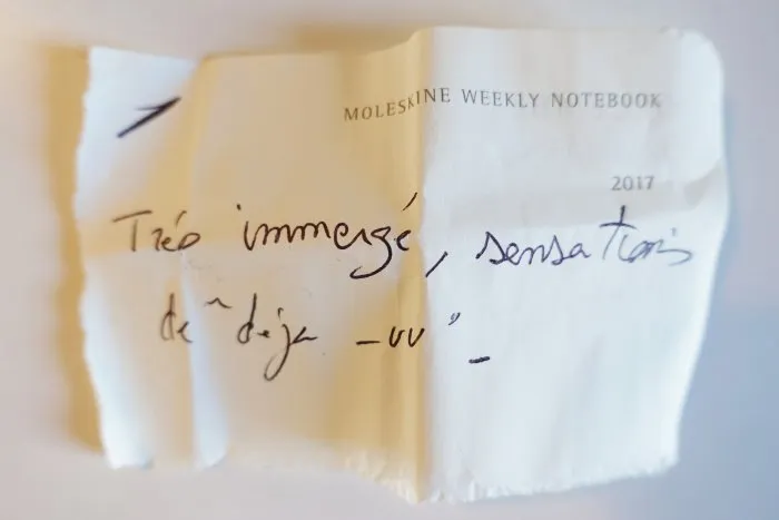 Université Montpellier 3 : « Je ne le savais pas, mais je suis ma caméra » - 5 © Benoît Labourdette 2017.