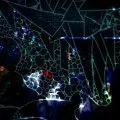Site web