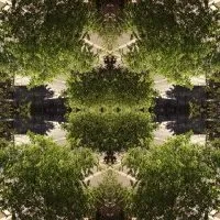 Cultiver la souveraineté numérique