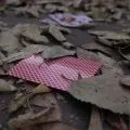 Sens