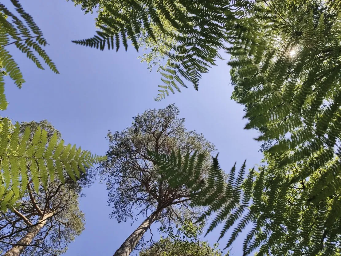 L'importance de la nature dans un scénario. © Benoît Labourdette.