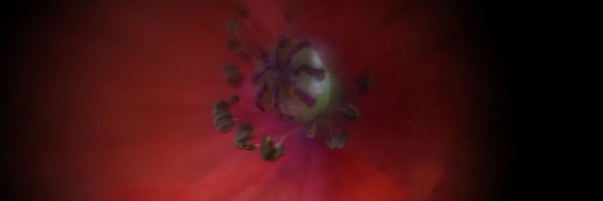 Bouton rouge