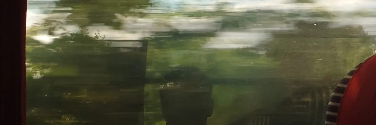 Autoportrait en filigrane