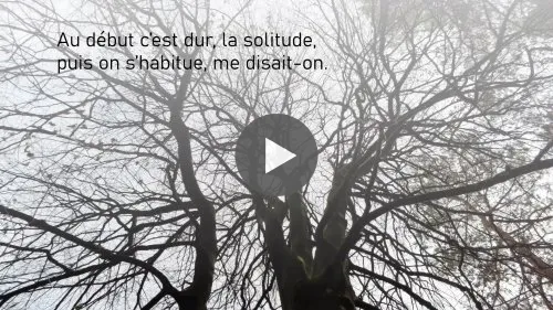 Trees and a woman